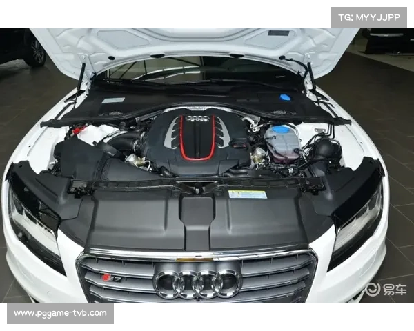 奥迪燃料供应商嘉实多研发受阻，或影响赛季初表现